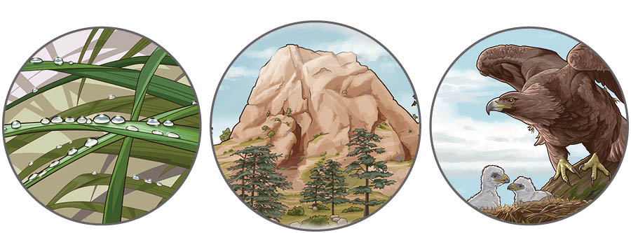 Dibujos: Deuteronomio 32 capitulomanta wakin kikinchaykuna. 1. Qhora patapi chhillchi. 2. Uj jatun chhanka orqo. 3. Uj anka irpitasninta jarkʼashan.