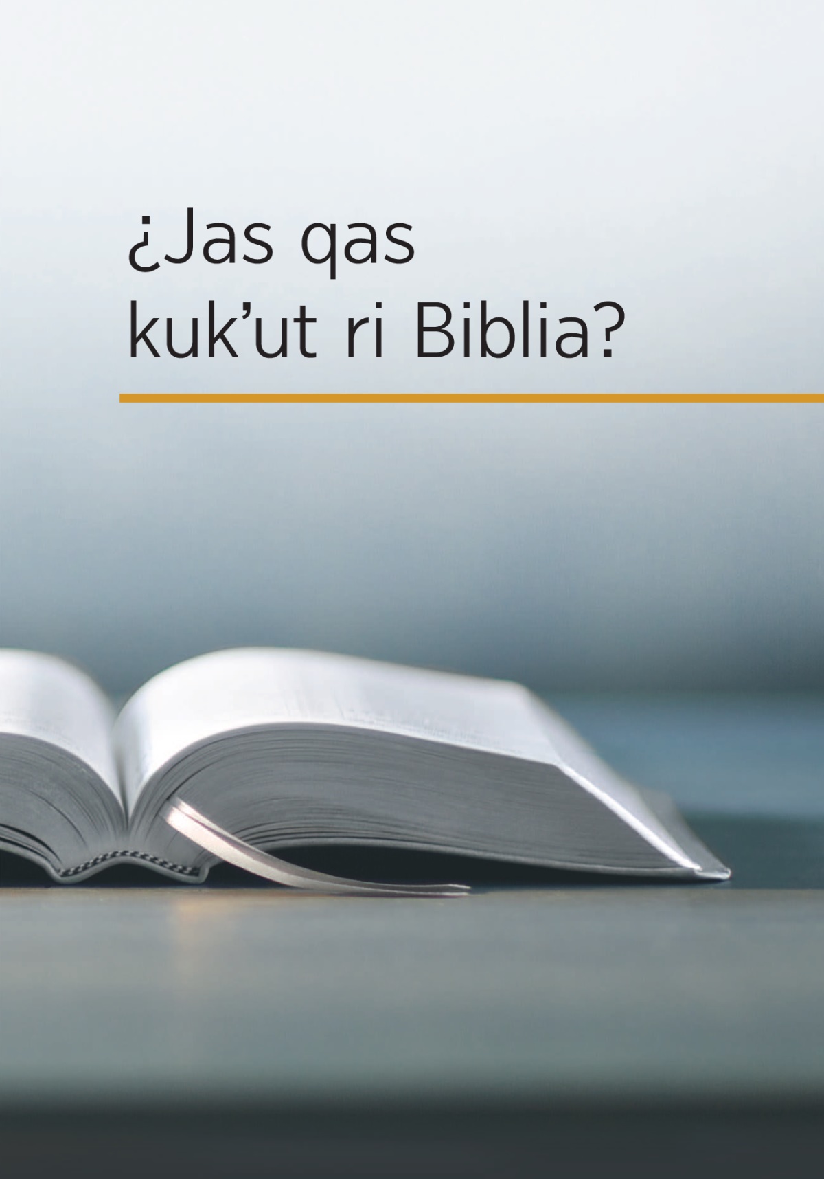 Uwach ri wuj «¿Jas qas kukʼut ri Biblia?”