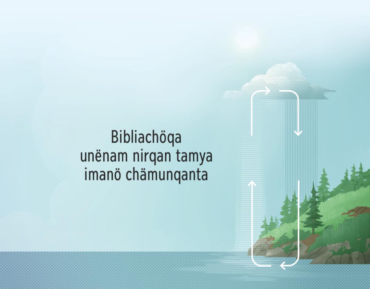 Bibliachöqa ninmi tamyamunampaq yaku imanö yurinqanta. Flëchakunaqa derëcha kaq lädupam tuman. Tamyamunampaqqa lamar yakupita pukutë pallarikanqantam rikätsikun.