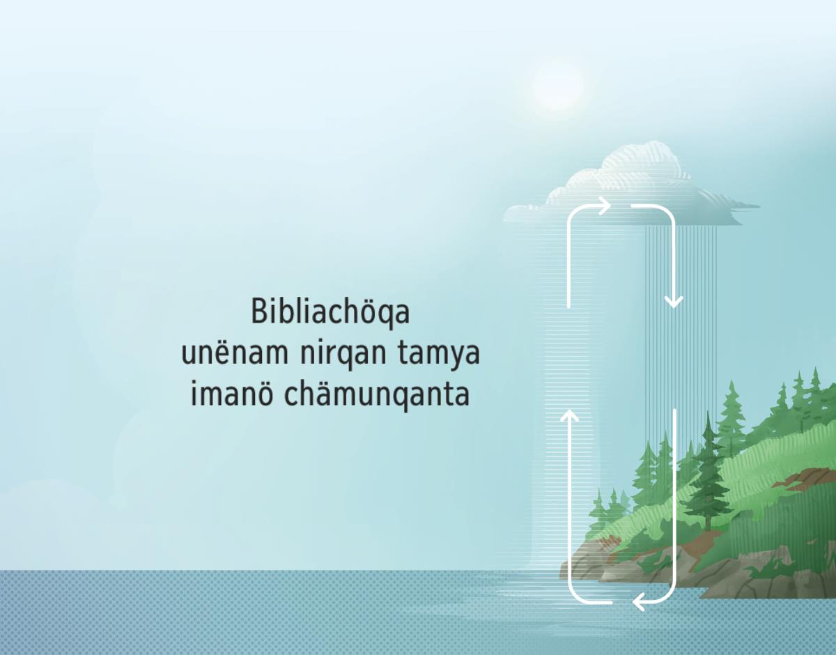 Bibliachöqa ninmi tamyamunampaq yaku imanö yurinqanta. Flëchakunaqa derëcha kaq lädupam tuman. Tamyamunampaqqa lamar yakupita pukutë pallarikanqantam rikätsikun.