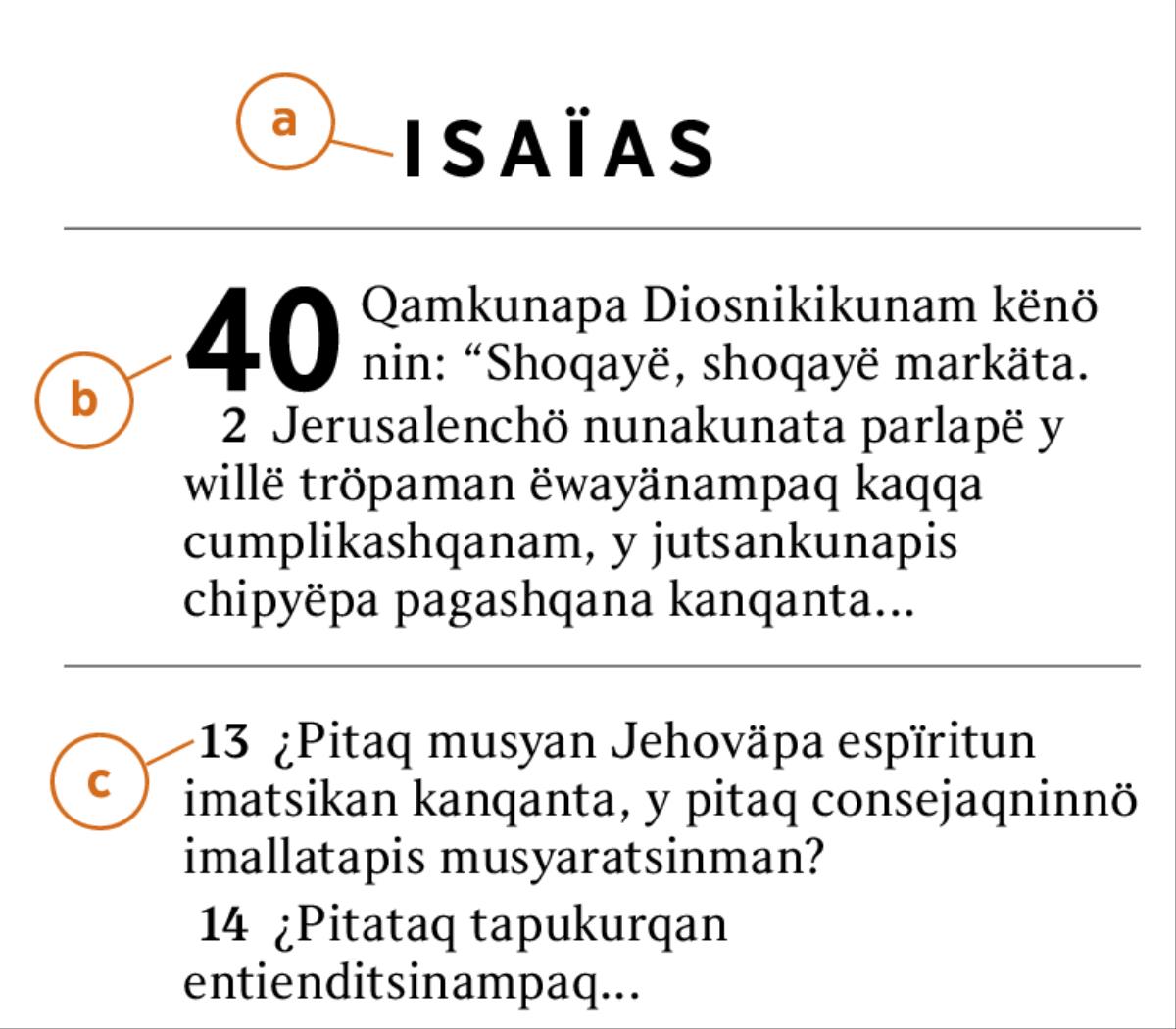 Bibliapa juk puchan rikakïkan textuta imanö tarinapaq kaqta rikätsikoq a) libruta, b) capïtulunta y c) versïculunta