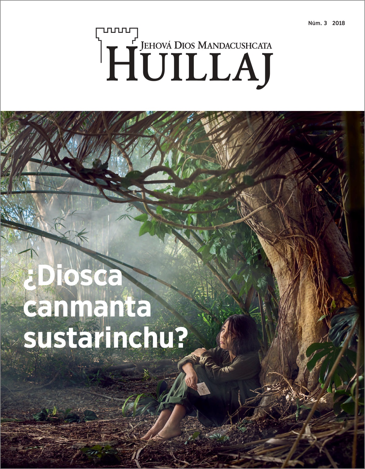 Huillaj, número 3 del 2018.