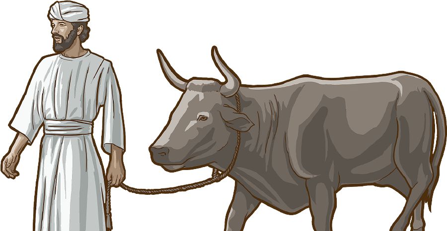 Shuj israelitami shuj jari huagrata apajun