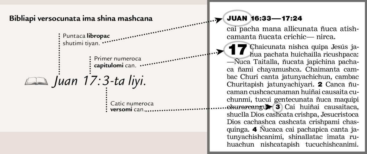 Bibliamanta asha partecunata ricuchishca