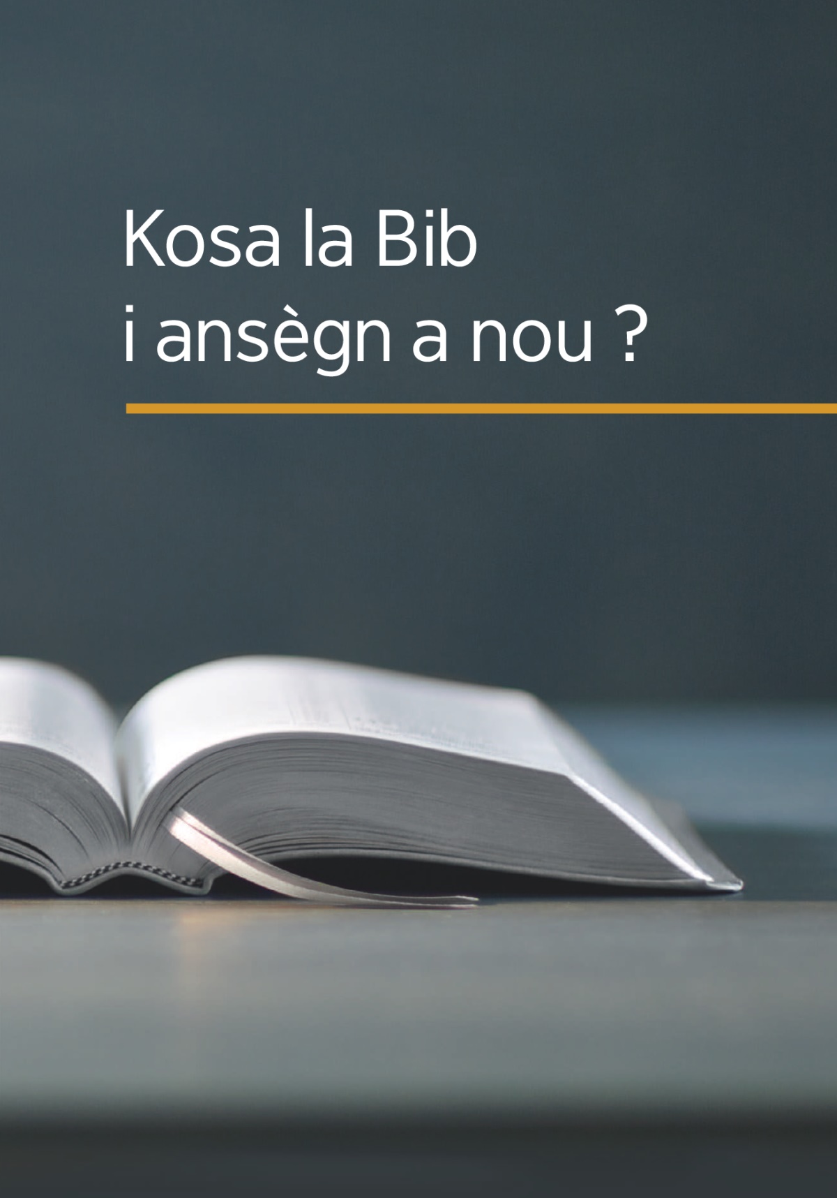 Le liv « Kosa la Bib i ansègn a nou ? »