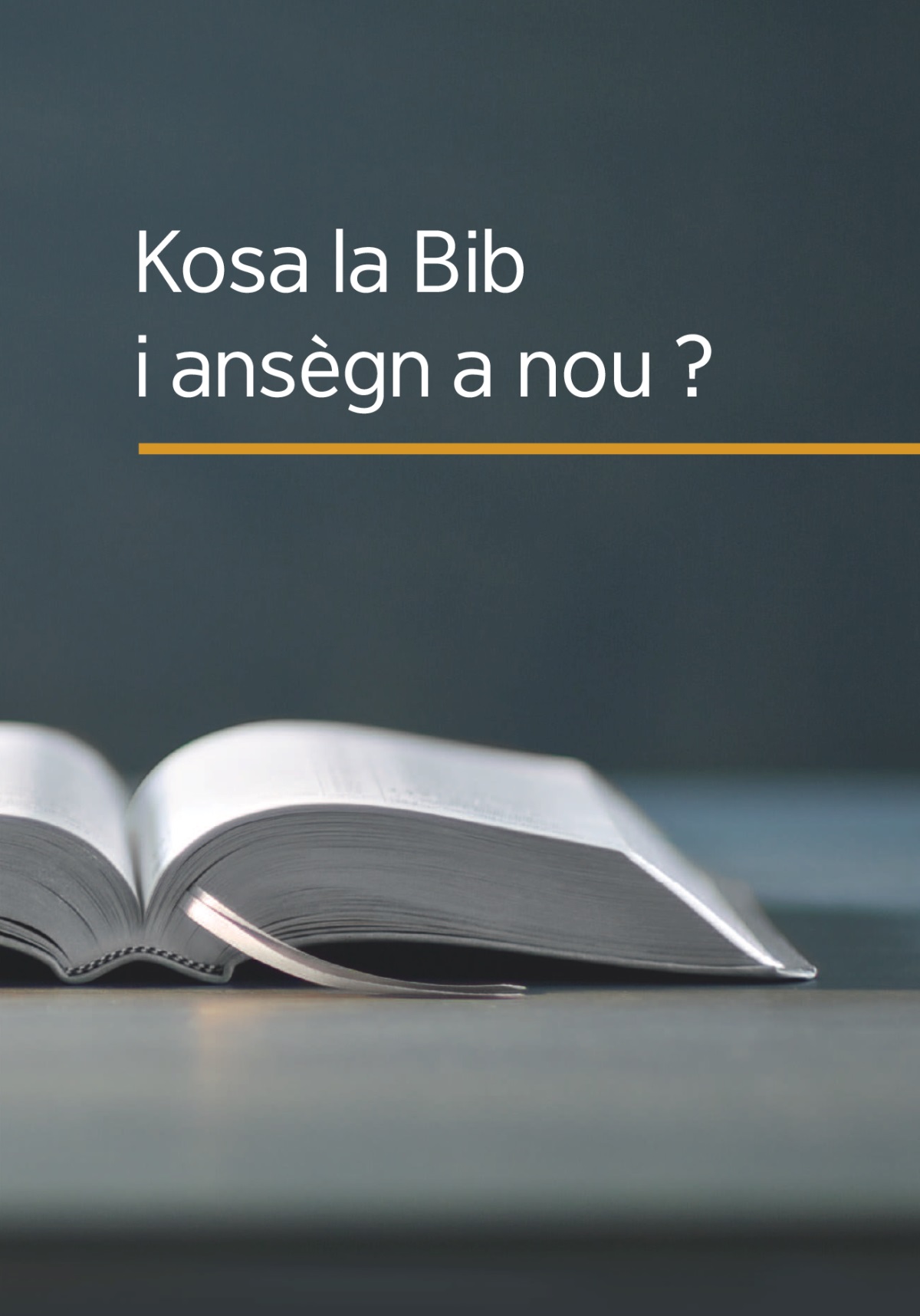 Le liv « Kosa la Bib i ansègn anou ? »