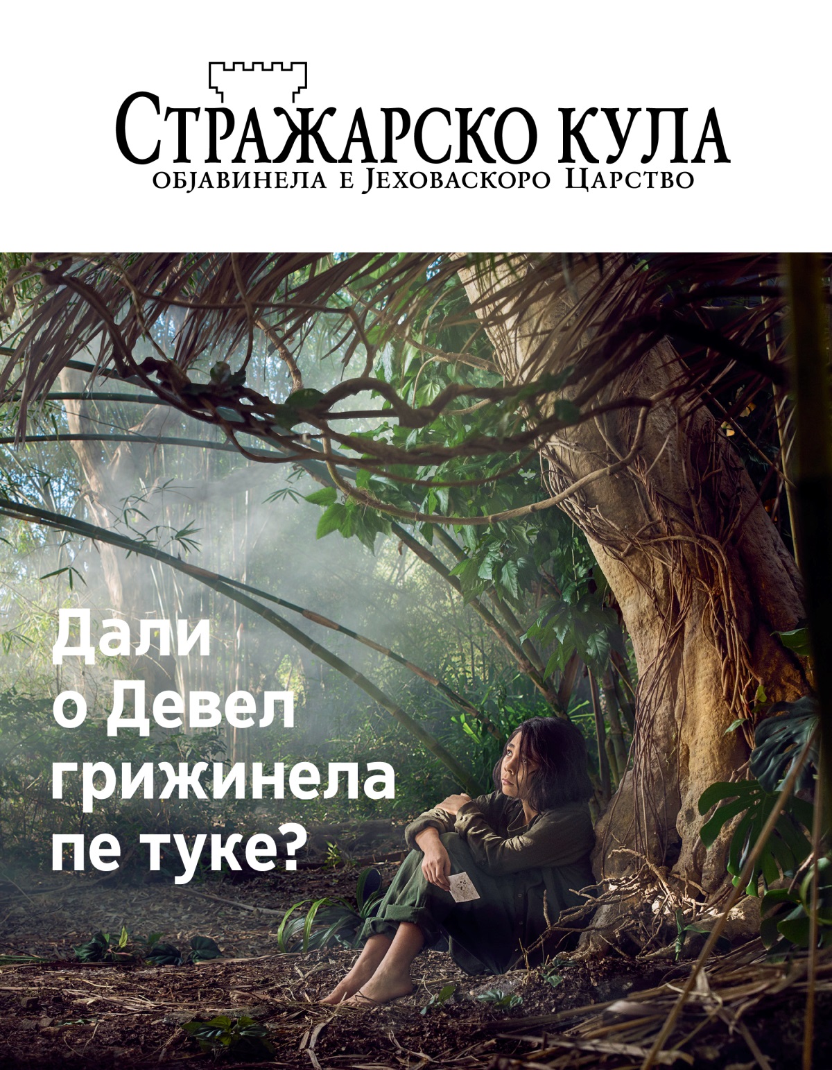 Стражарско кула Бр. 3, 2018 | Дали о Девел грижинела пе туке?