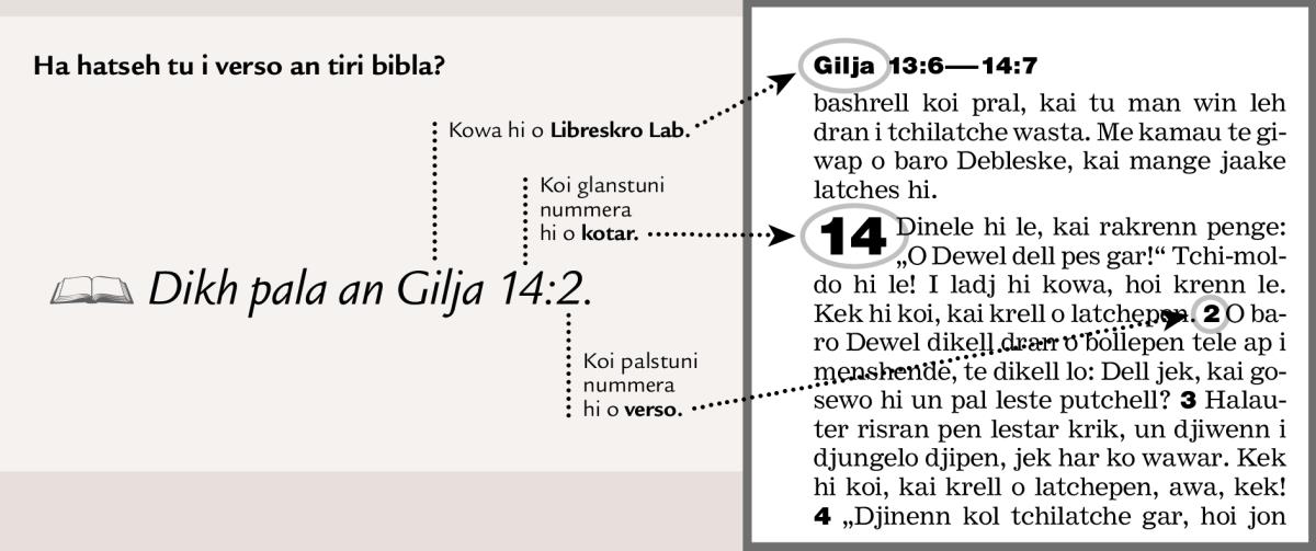 Jaake dikell i lab tsitiremen win