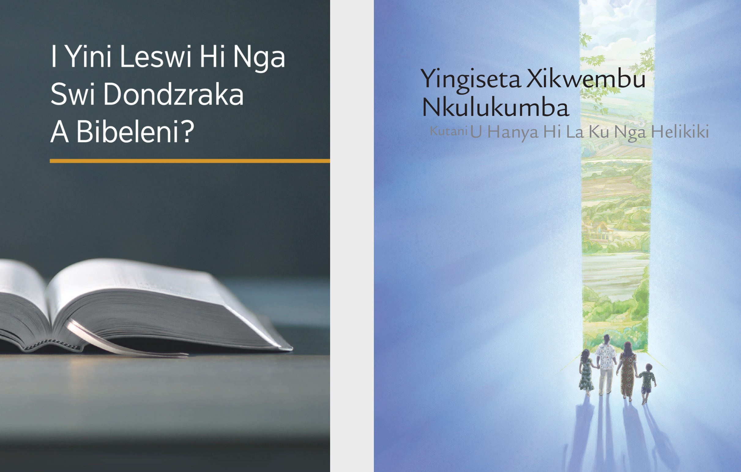 Buku ledzri liki ‘I Yini Leswi Hi Nga Swi Dondzraka A Bibeleni’ ni xibukwana lexi liki ‘Yingiseta Xikwembu Nkulukumba Kutani U Hanya Hi La Ku Nga Helikiki’
