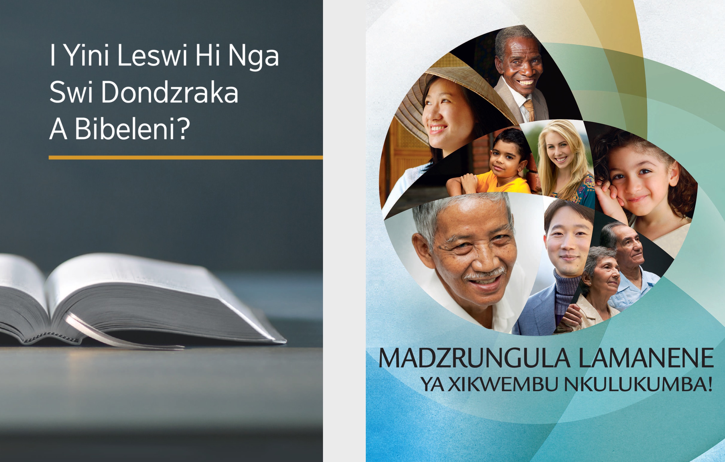 Buku ledzri liki ‘I Yini Leswi Hi Nga Swi Dondzraka Bibeleni?’ Xibukwana lexi liki ‘Madzrungula Lamanene Ya Xikwembu Nkulukumba!’