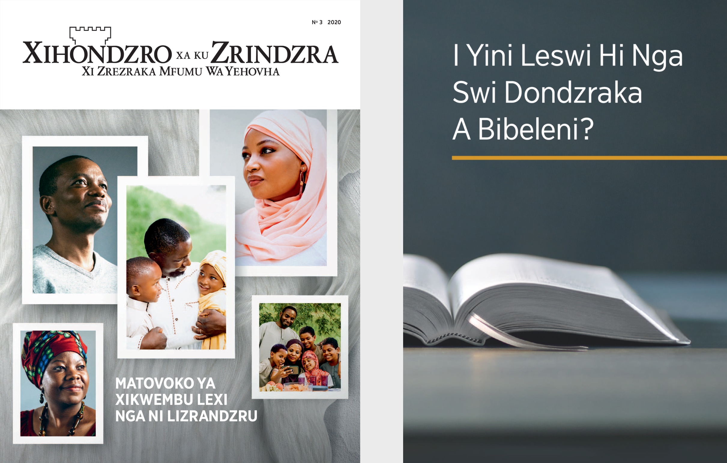 Buku ledzri liki ‘I Yini Leswi Hi Nga Swi Dondzraka A Bibeleni?’ ni ‘Xihondzro Xa Ku Zrindzra’ N.° 3 2020.