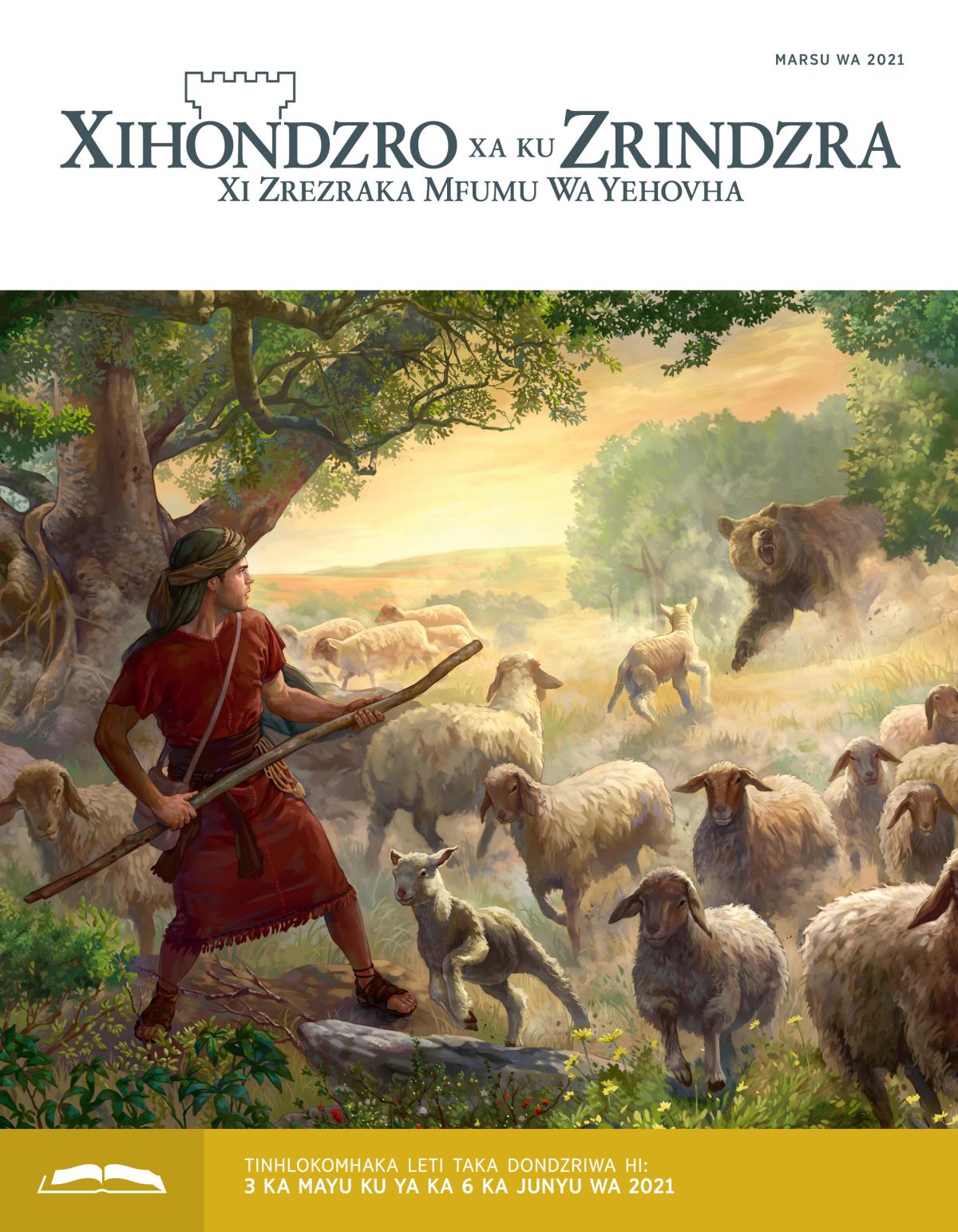 Xihondzro Xa Ku Zrindzra, Nhlayu Ya Xidondzro, Marsu wa 2021.