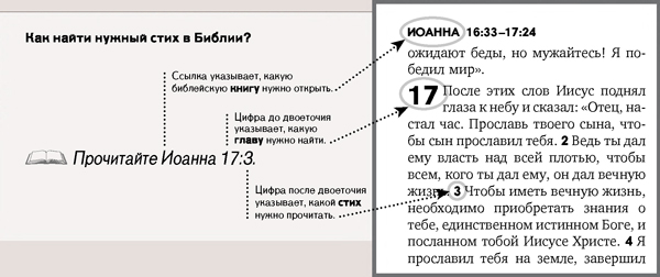 Пример того, как найти нужный стих в Библии