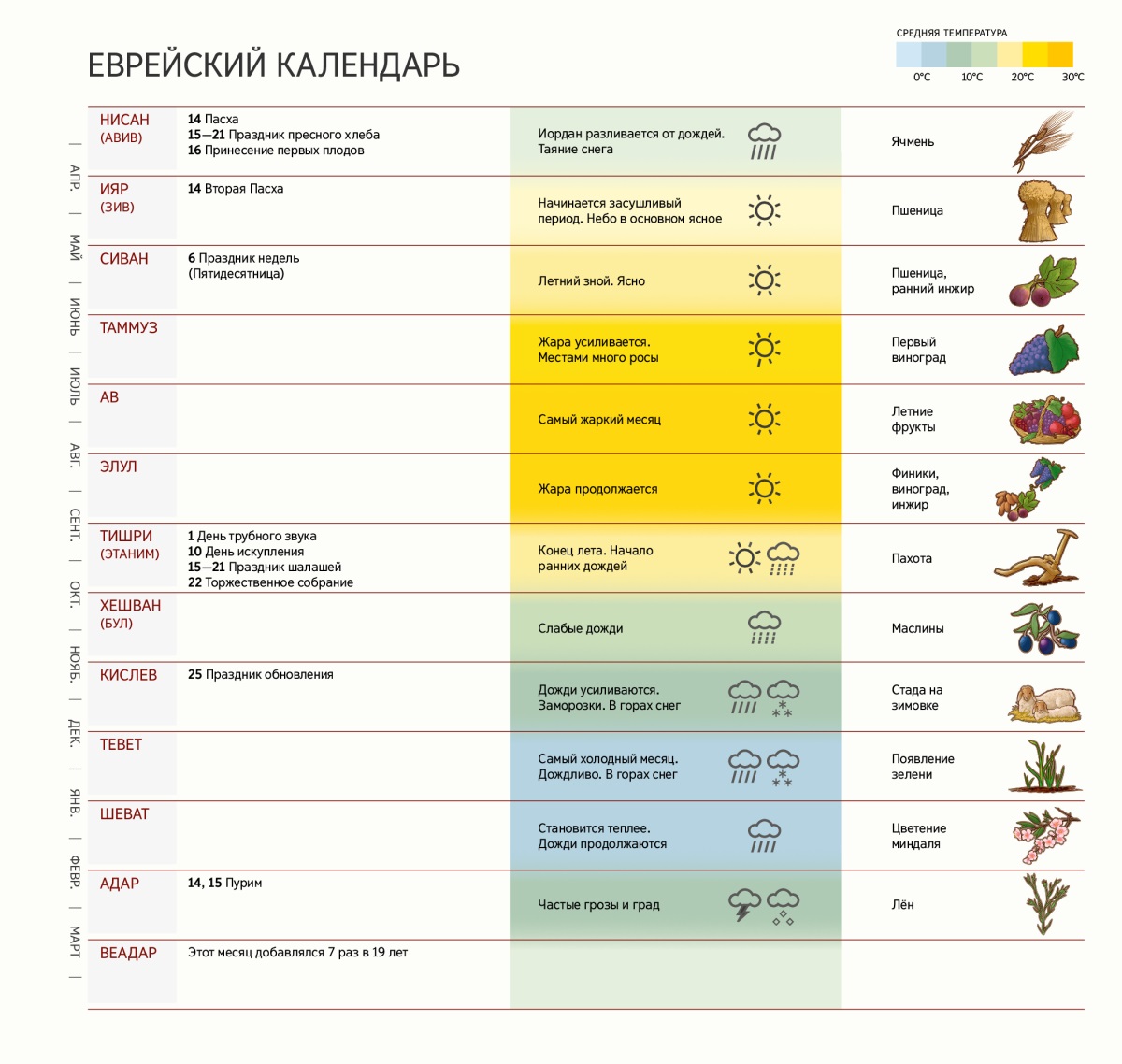 Еврейский календарь, в котором указаны месяцы, праздники, погода и сельскохозяйственные культуры.