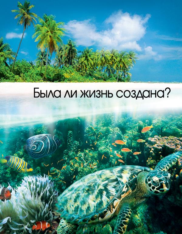 Брошюра «Была ли жизнь создана?»