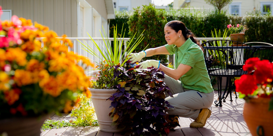 Delina ariko yitwararika amashurwe