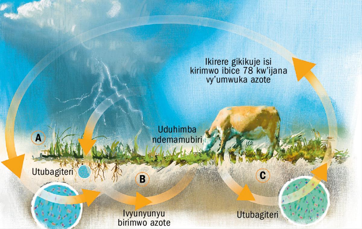 Inzinguzingu y’umwuka witwa azote