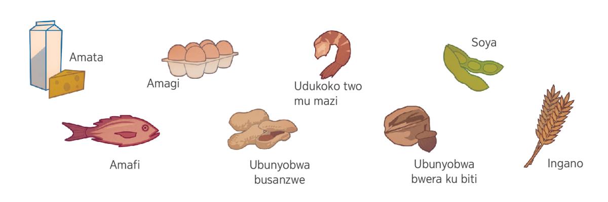 Amata, amagi, soya, amafi, ubunyobwa n’ingano