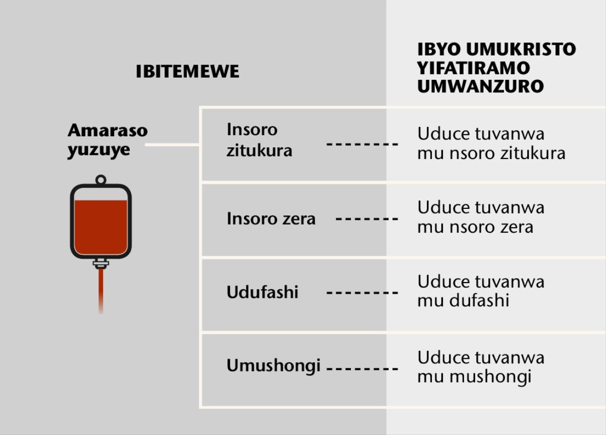 Amaraso, ibice bine by’ingenzi bigize amaraso, n’uduce duto tuvanwa mu maraso