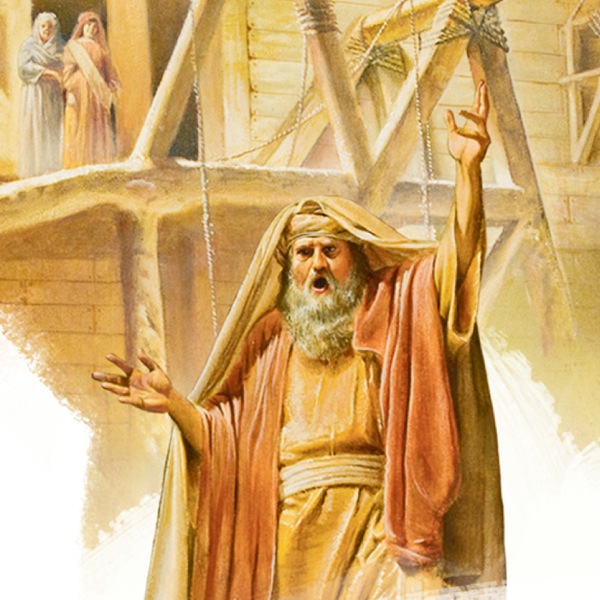 Noah