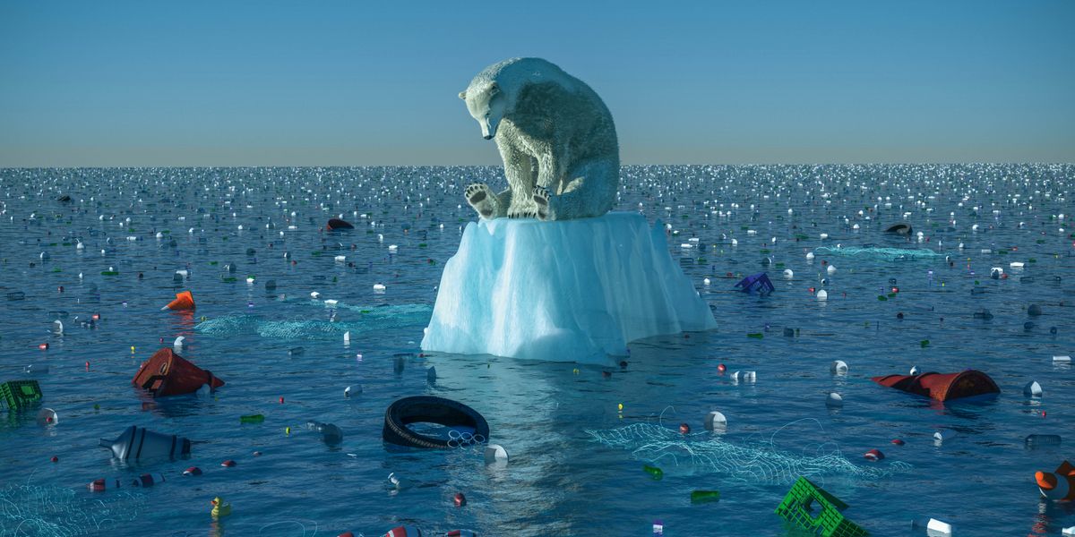 A dirty polar bear sitting sadly on a dwindling chunk of ice floating in an ocean littered with garbage.