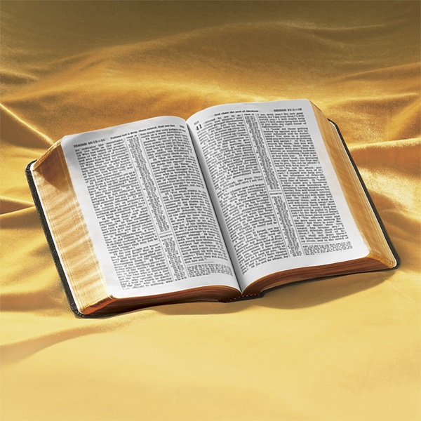 What Does the Bible Really Teach?