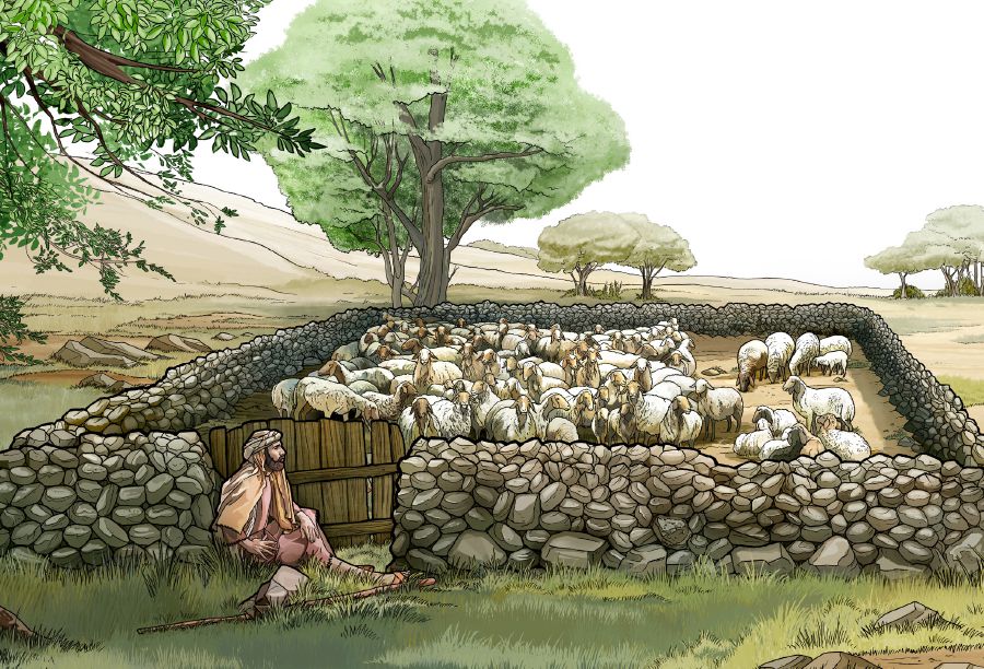 A shepherd guards the door of a sheep pen