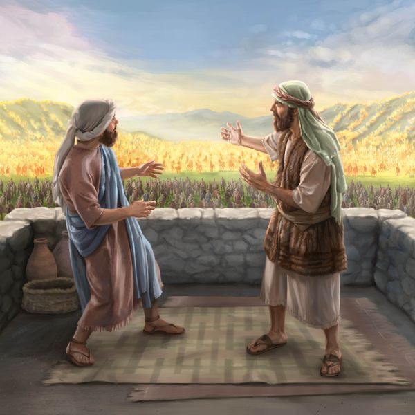 Our Christian Life and Ministry​—Meeting Workbook, November-December 2022.