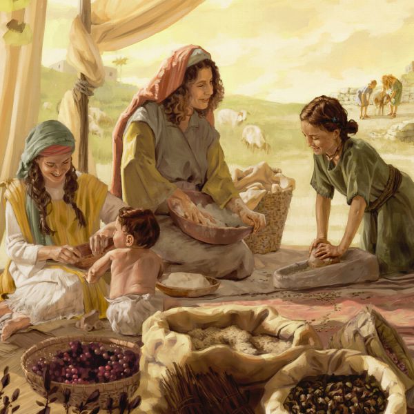 The Watchtower Study Edition, February 2019