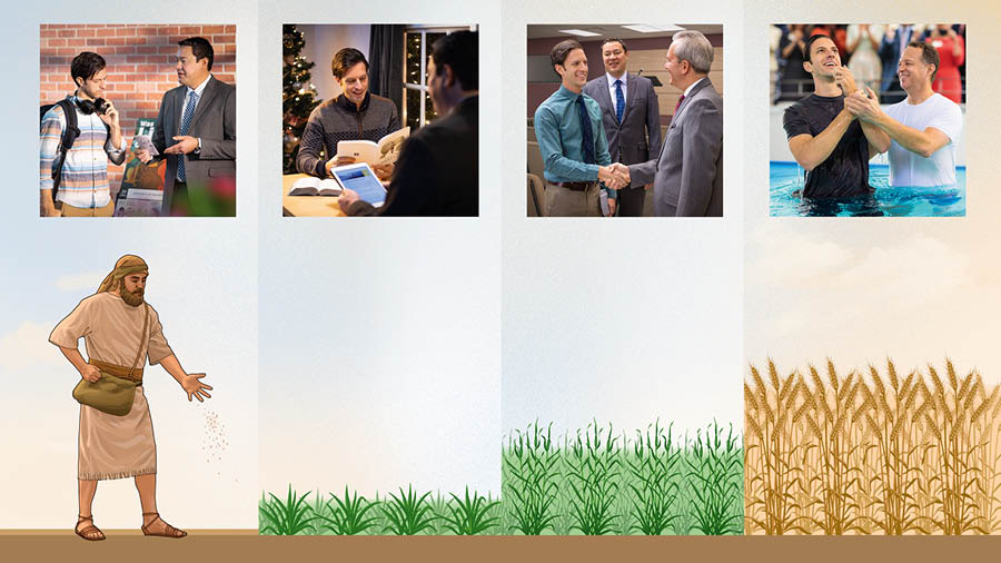Collage: The gradual growth of a plant compared to the progress of a Bible student. 1. A farmer scatters seeds; a man listens to a brother who is preaching next to a literature cart. 2. The seeds sprout; the man studies the Bible but still has a Christmas tree in his home. 3. The plants grow taller; the man greets a brother at a congregation meeting. 4. The seeds bear fruit; the man gets baptized.