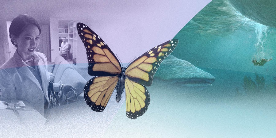 A-image so afa akota tënë ti kapa ti vendredi na peko ti wungo terê ti kota bungbi ti aTémoin ti Jéhovah ti 2017