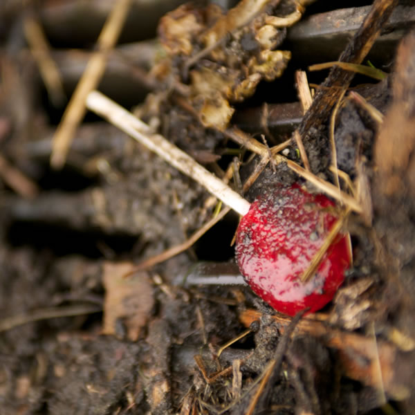 Mbeni bonbon so atï na yâ ti saleté