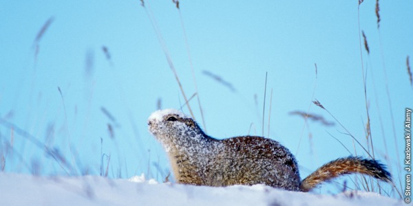 [16වන පිටුවේ පින්තූරය]