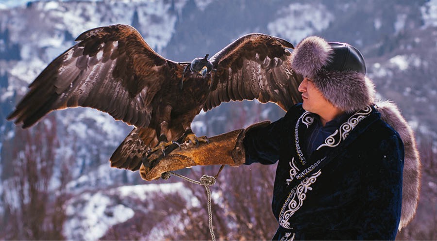 මිනිසෙක්ගේ අත උඩ ඉන්න හිසට ආවරණයක් දාලා ඉන්න රාජාලියෙක්