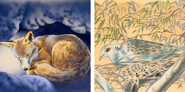 1. ගුහාවක ඉන්න හිවලෙක්; 2. කූඩුවක ඉන්න කුරුල්ලෙක්