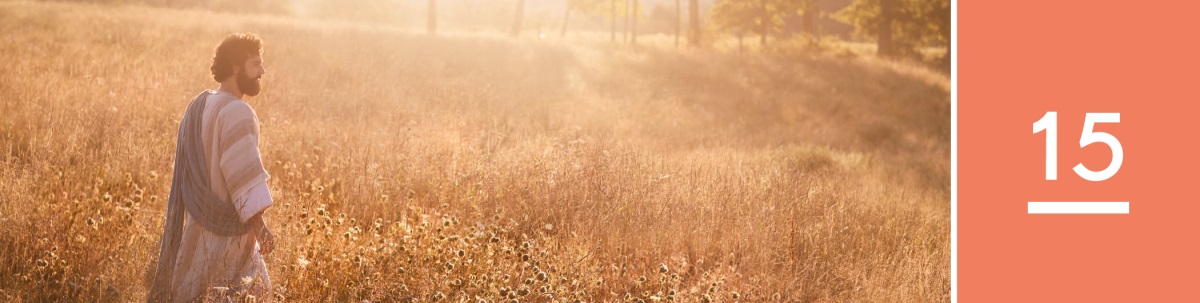 15වෙනි පාඩම. යේසුස් වත්තක් මැදින් ඇවිදගෙන යනවා.