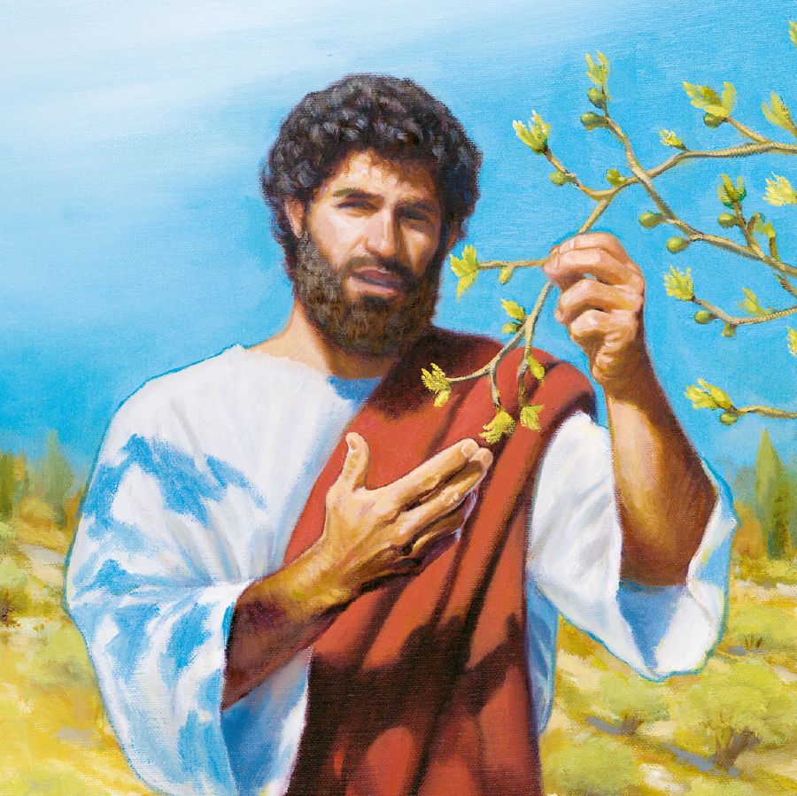 යේසුස් අත්තික්කා ගසක අත්තක් අල්ලගෙන ඉන්නවා