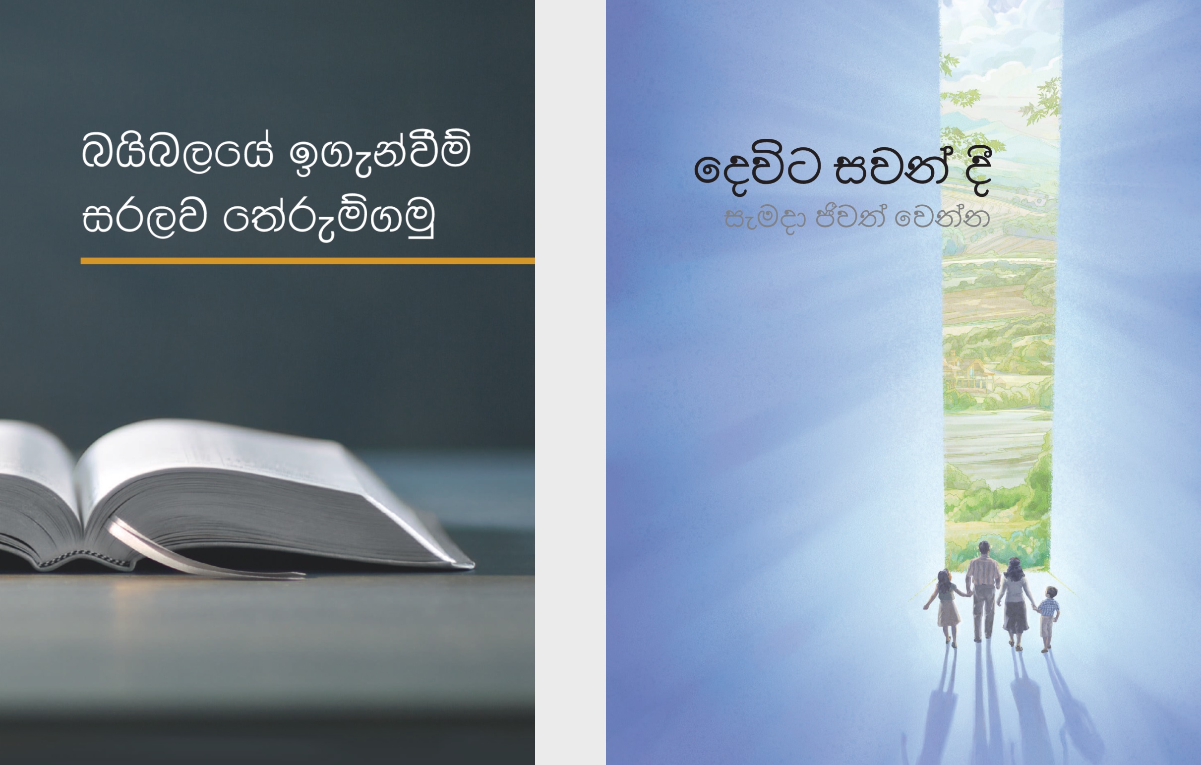 ‘බයිබලයේ ඉගැන්වීම් සරලව තේරුම්ගමු’ කියන පොත සහ ‘සැබෑ දෙවියන්ගෙන් ප්රීතිමත් පණිවිඩයක්!’ කියන සඟරාව