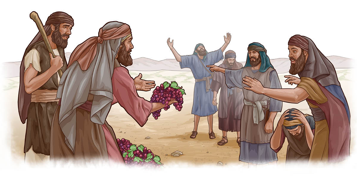 යොෂුවා සහ කාලෙබ් අනිත් ඔත්තුකරුවන්ට එයාලා ගෙනාව ලොකු මිදි පොකුරක් පෙන්වනවා.