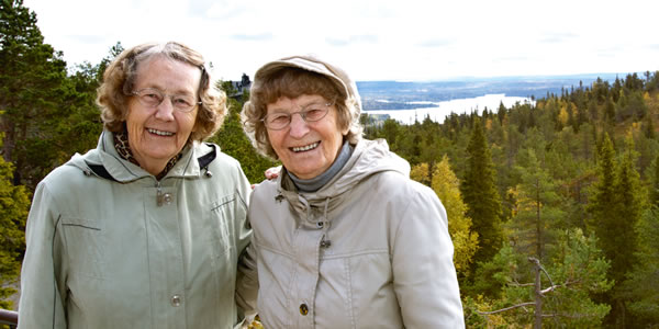 [17වන පිටුවේ පින්තූරය]