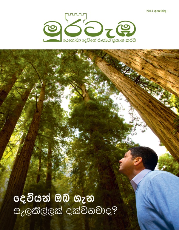 මුරටැඹ සඟරාව, 2014 අගෝස්තු | දෙවියන් ඔබ ගැන සැලකිල්ල දක්වනවාද?