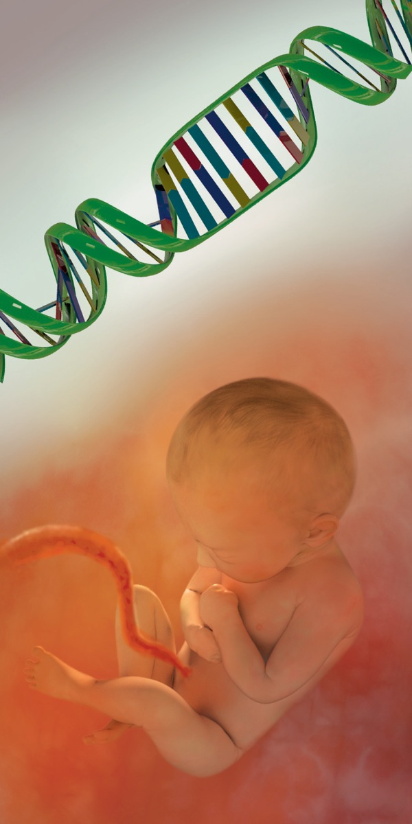 DNA එකක් සහ කලලයක්