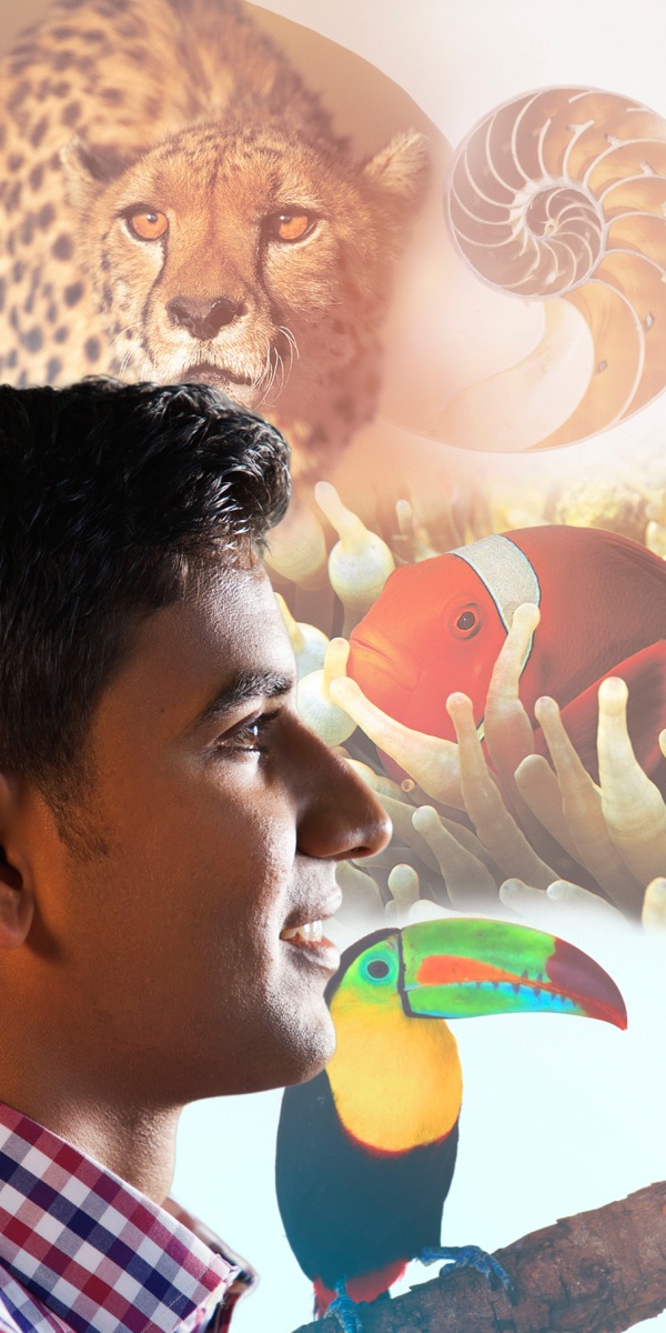 පරිසරයේ සුන්දරත්වය ගැන කල්පනා කරන තරුණයෙක්