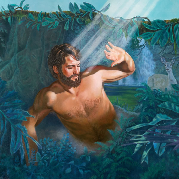 Baka amy lemboky Adama tamy vo niforony