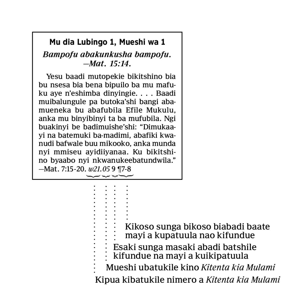 [Foto i mwisaki 6]