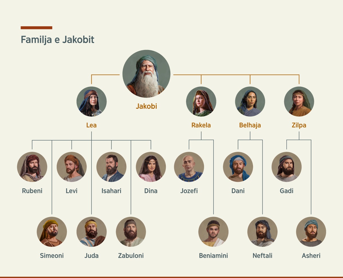 Një tabelë ku tregohet pema gjenealogjike e familjes së Jakobit. Ai ka dy gra, Lean dhe Rakelën, si edhe dy konkubina, Belhanë dhe Zilpën. Fëmijët që i lindi Lea janë Rubeni, Simeoni, Levi, Juda, Isahari, Zabuloni dhe Dina. Fëmijët që i lindi Rakela janë Jozefi dhe Beniamini. Fëmijët që i lindi Belhaja janë Dani dhe Neftali. Fëmijët që i lindi Zilpa janë Gadi dhe Asheri.