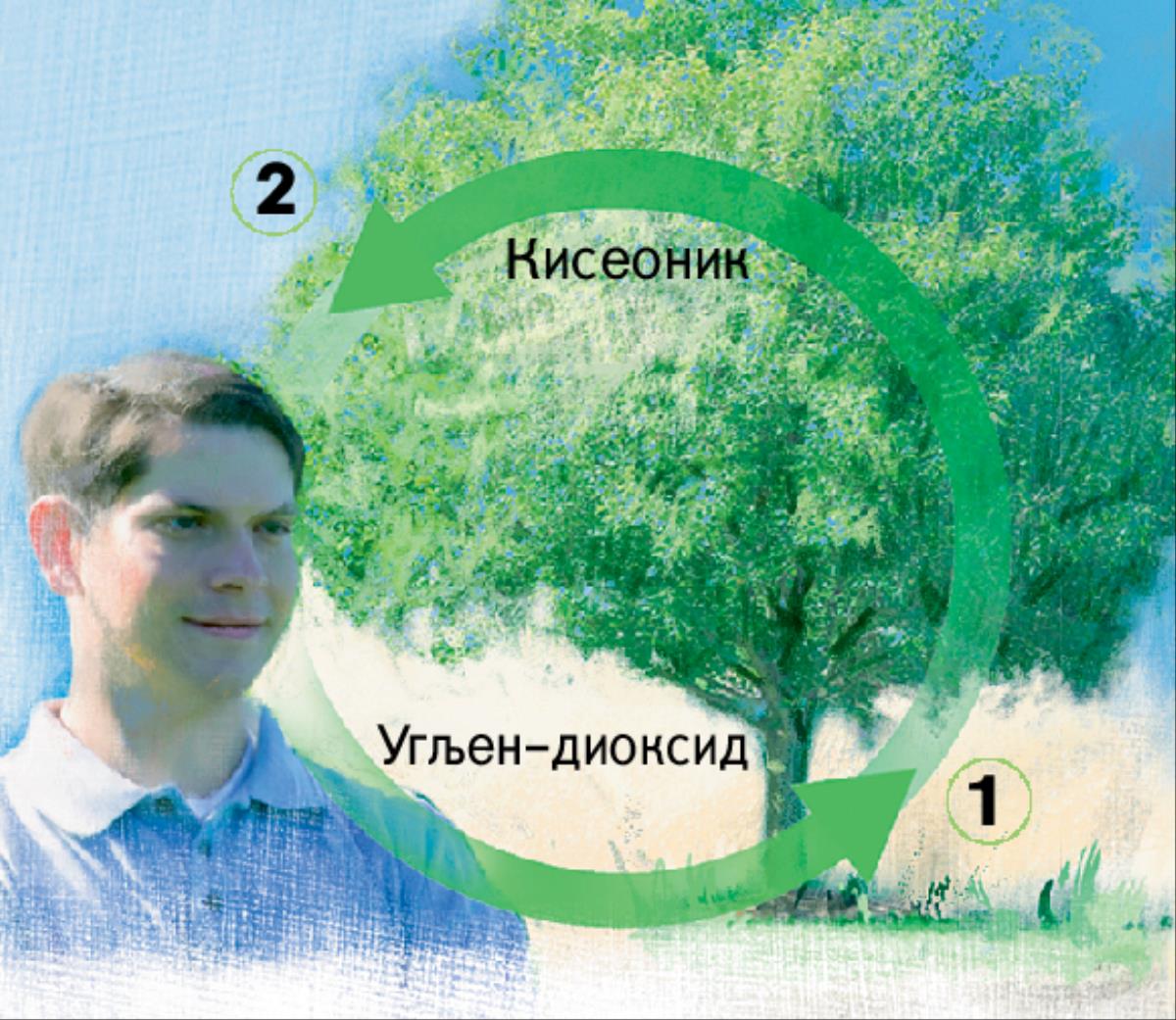 Кружење угљеника и кисеоника