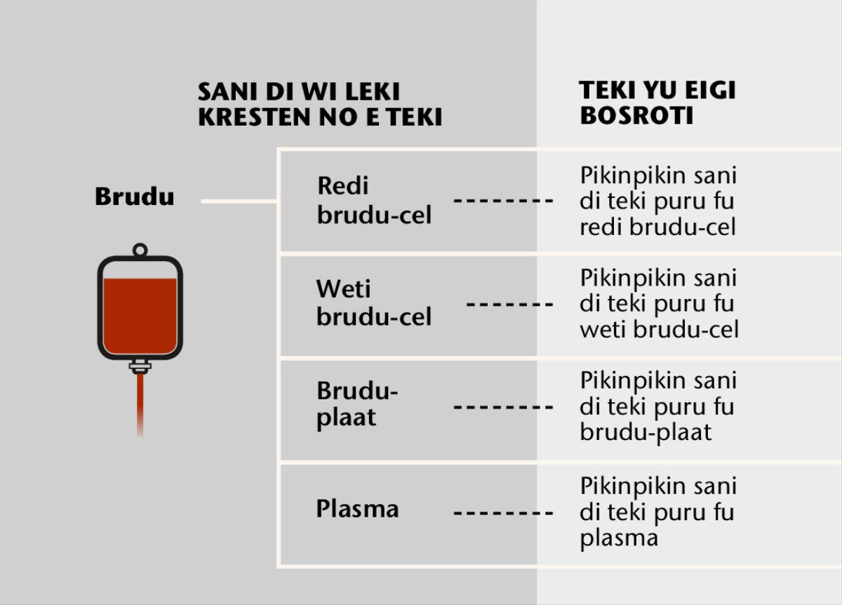 Brudu, den fo prenspari sani di de fu feni na ini brudu, nanga den pikinpikin sani di sma e teki puru na ini brudu