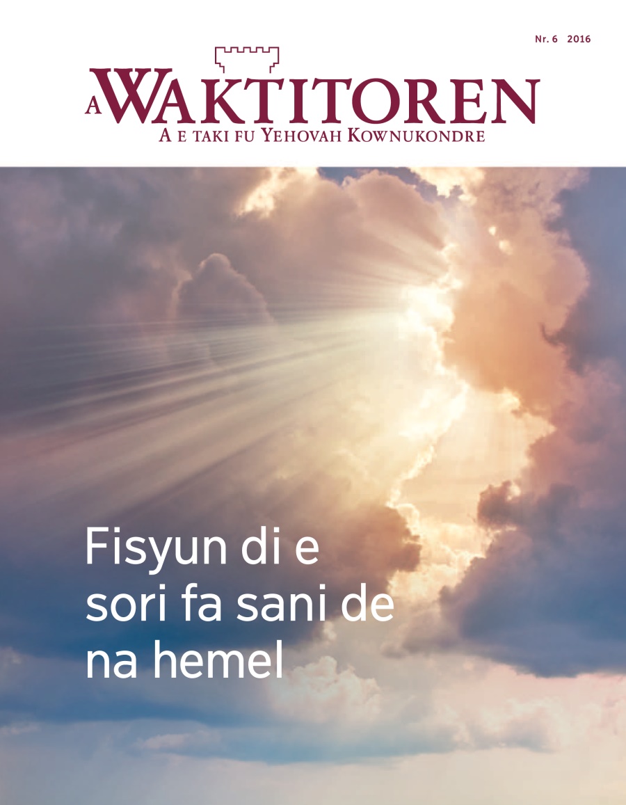 Waktitoren Nr. 6 2016 | Fisyun di e sori fa sani de na hemel
