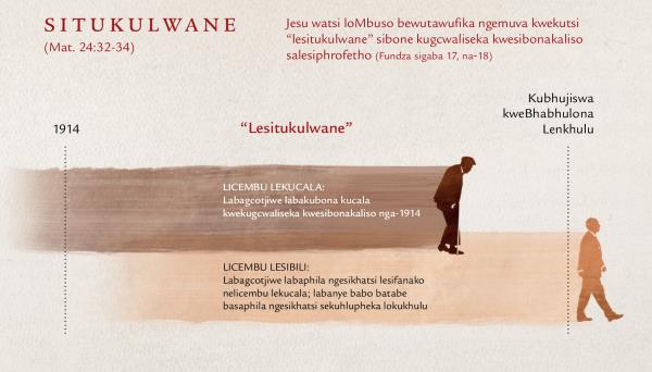 Lishadi lelikhombisa sikhatsi ‘sesitukulwane’ lesisesiphrofethweni saJesu lesikuMatewu 24:32-34